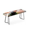 Marta Barragan Camarasa Abstract Colors Nature Bench - Deny Designs -Furniture Sales Shop GUEST 57600cea c1ef 4fc3 9e96 f62613f3de8f